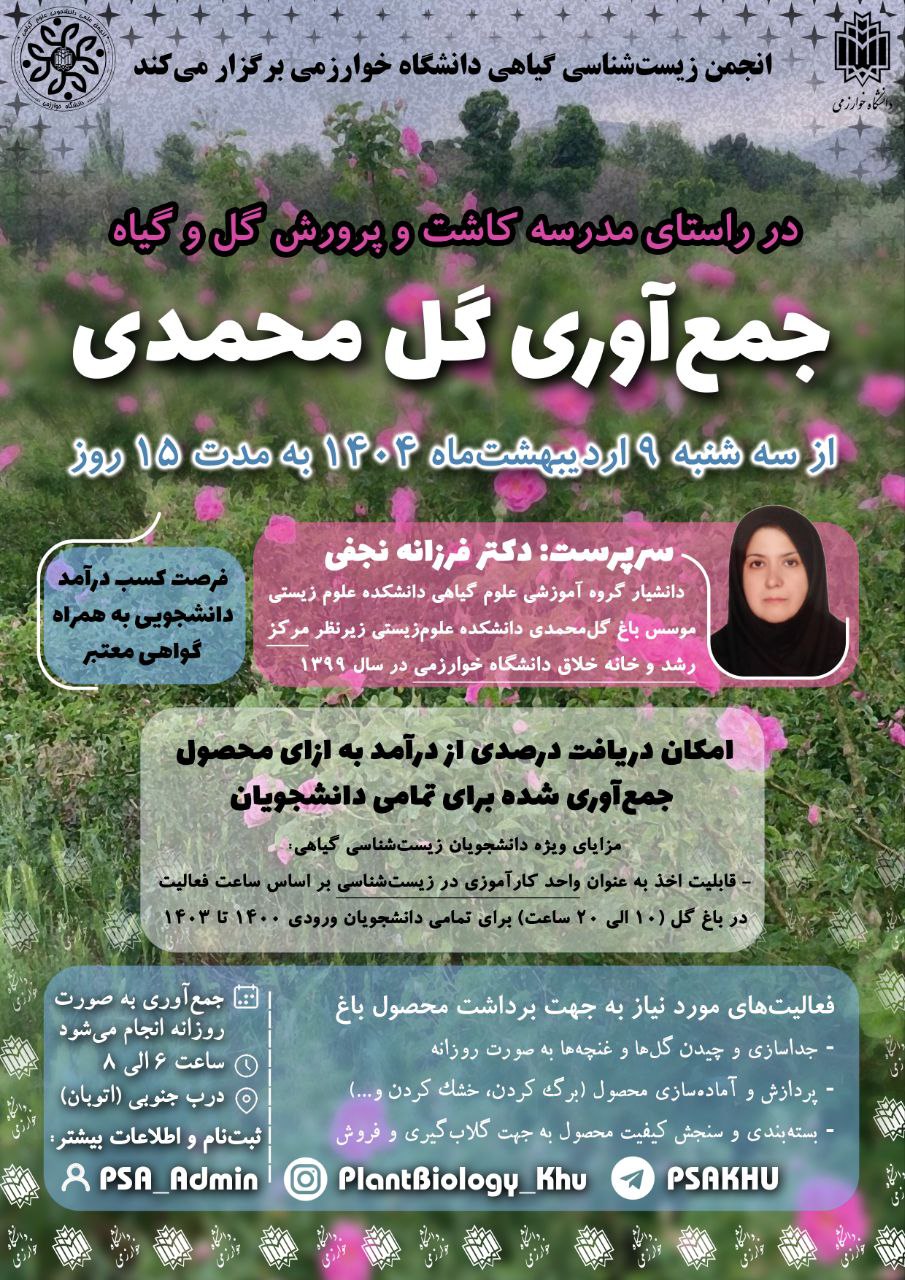 جمع‌آوری گل محمدی